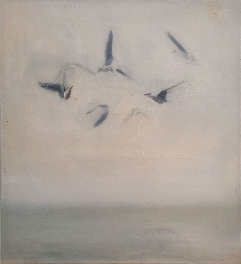 Seagulls by Sally Holt